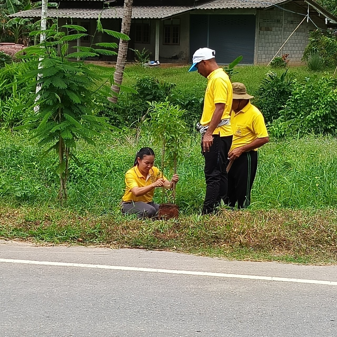 โครงการรักษ์น้ำ รักป่า รักษาแผ่นดิน
วันที่ 26 กรกฎาคม 2567